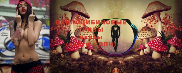 каннабис Богданович