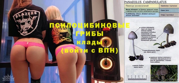 каннабис Богданович