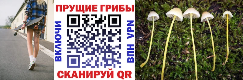 Галлюциногенные грибы прущие грибы  ссылка на мегу вход  Шумиха  как найти наркотики 
